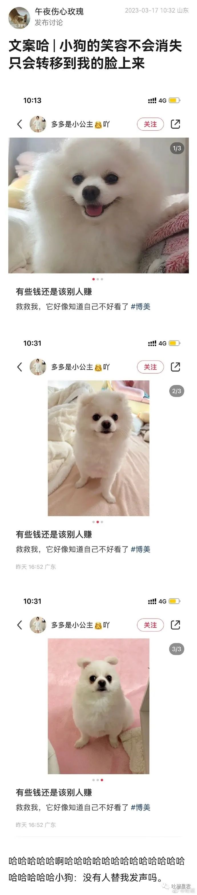 “3W4给女友买战损风上衣...”啊啊啊转身后当场裂开了!