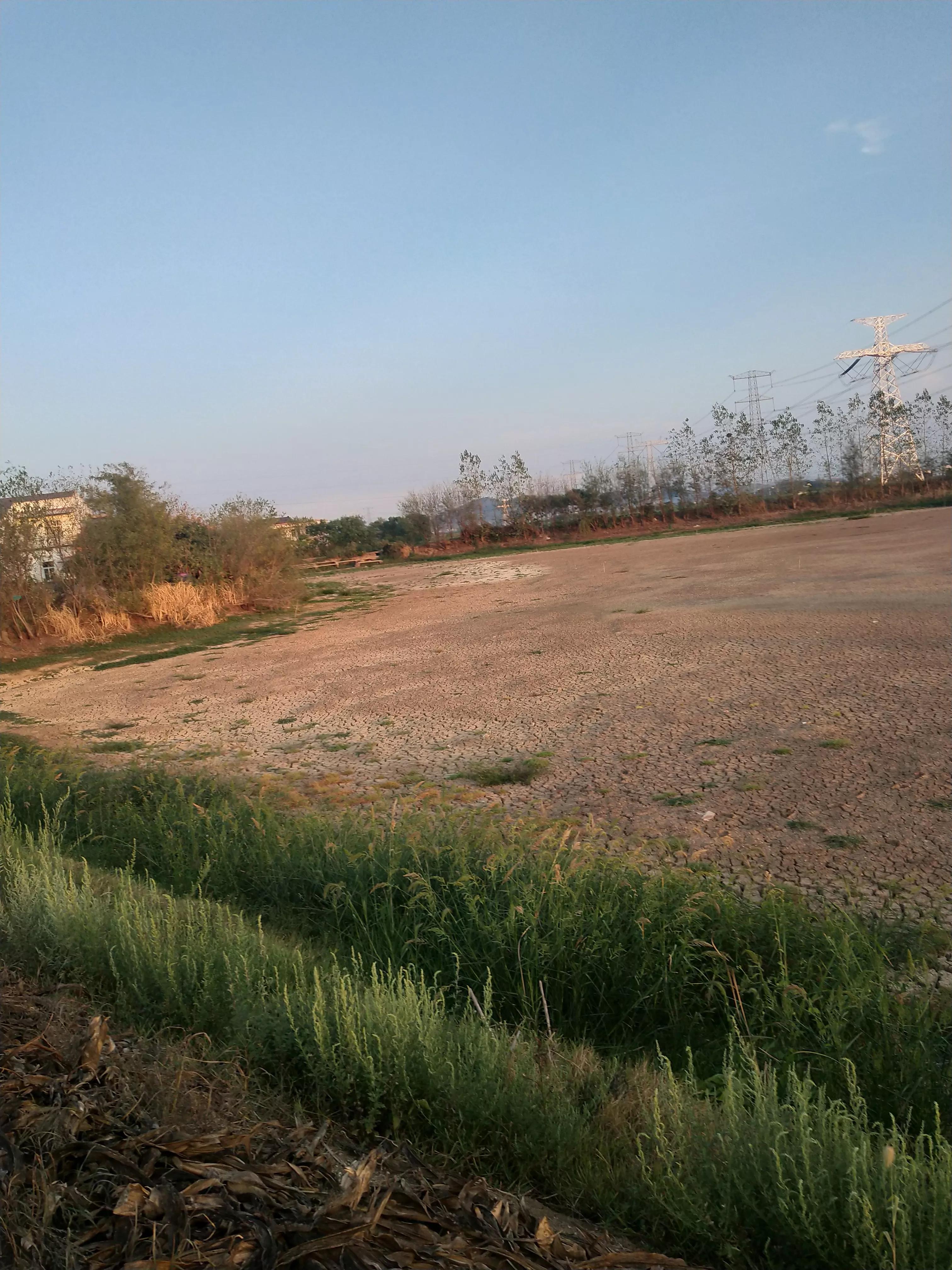 诗歌原创在线阅读,诗歌原创作品100首