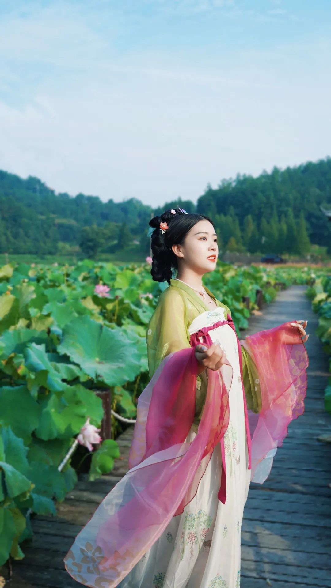 小暑已至！夏日顶流登场，一池荷风，满院莲香，惊艳了整个夏天！