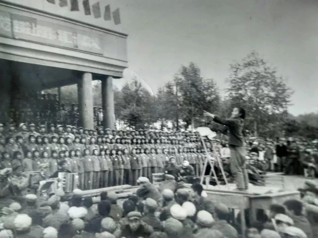 漩涡之中寻找陈春花,寻找陈春花