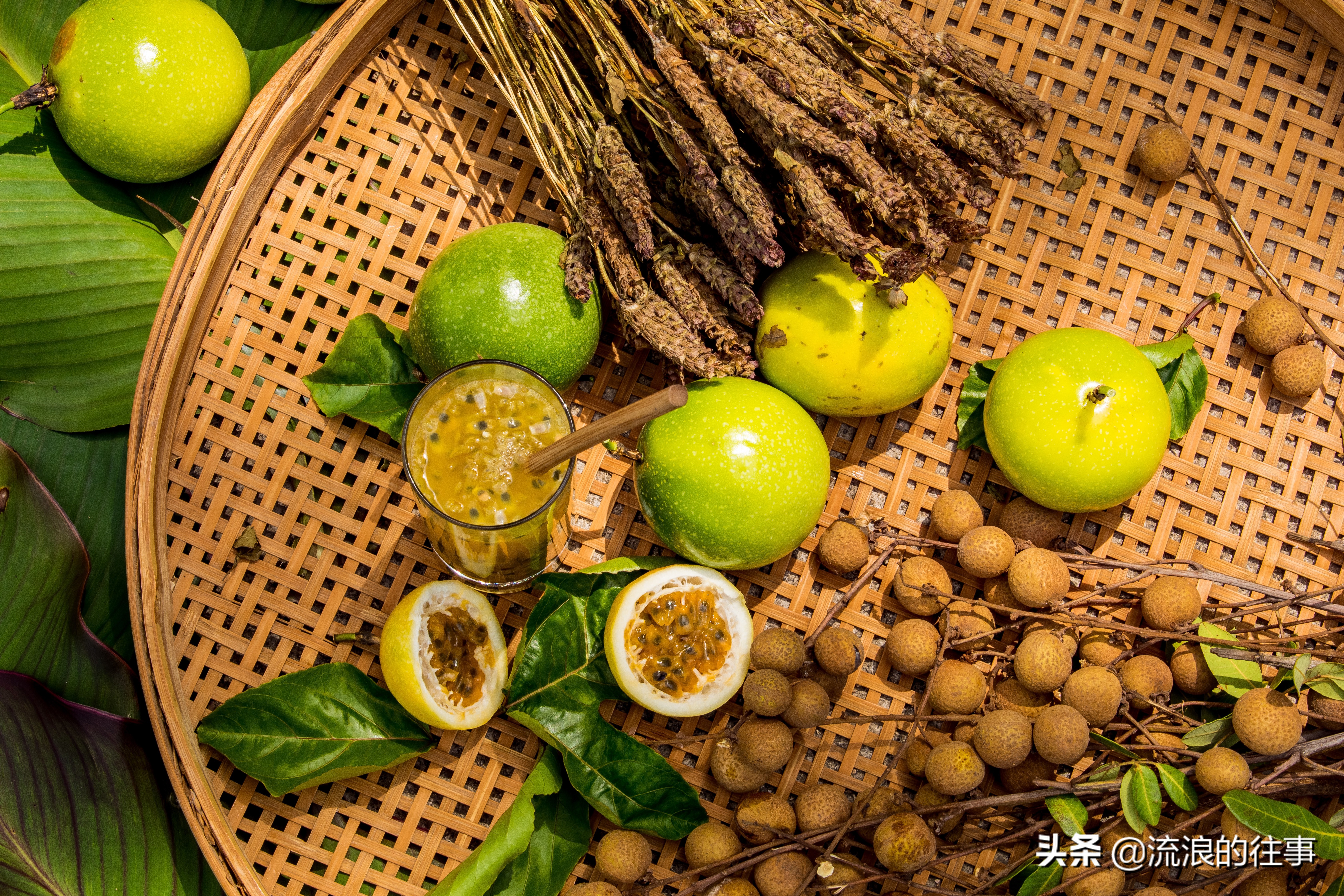 如何区分各品种的黄金百香果,黄金百香果与紫皮百香果功效