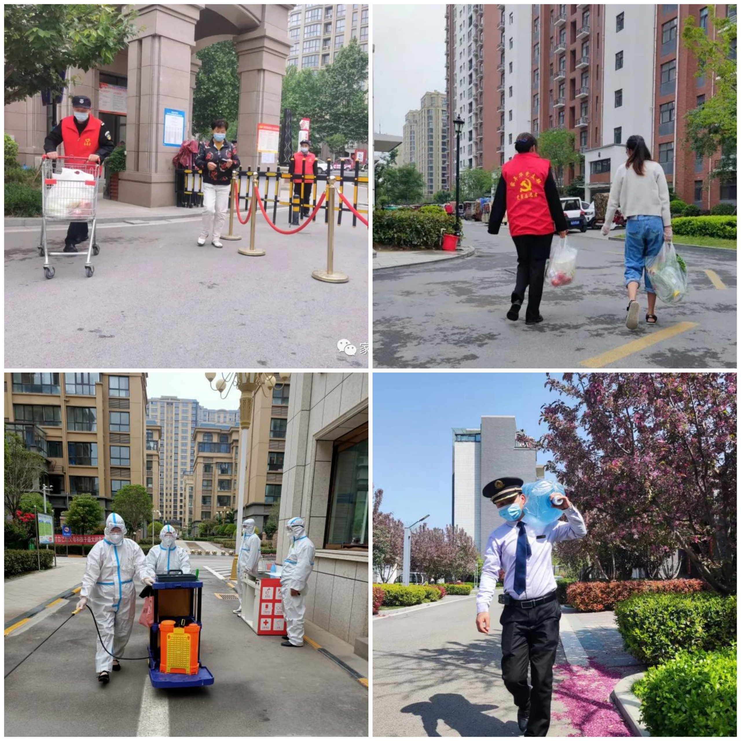 卫健局积极参与红色物业创建 (鄢陵县防疫最新通知)
