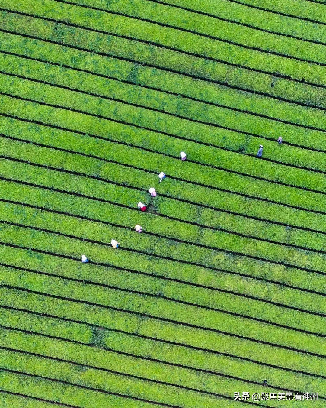 摄影镜头中的大地，既是油画也是梦境