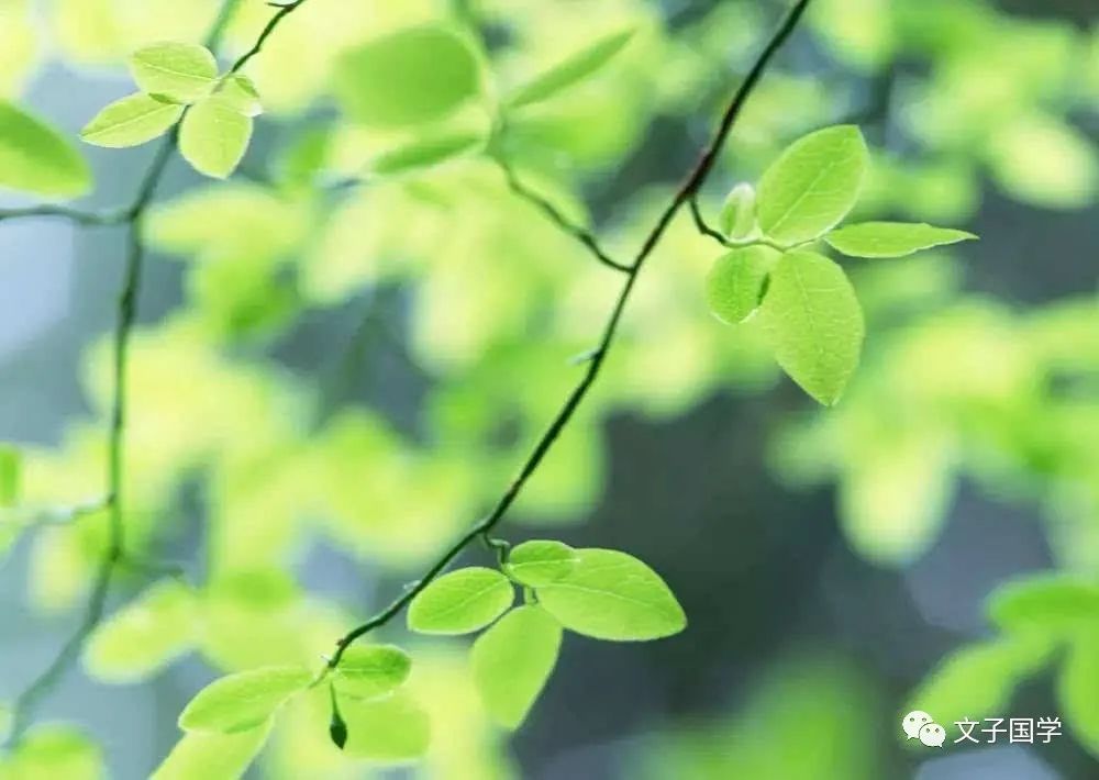 快把爱情扔了吧。《诗经》其实是大周王朝的政治“红宝书”（1）