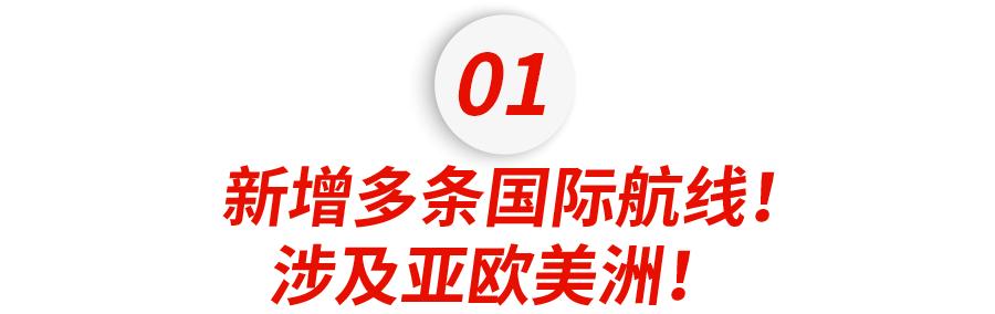 南航何时能恢复纽约飞广州,南航广州纽约航线正式复航