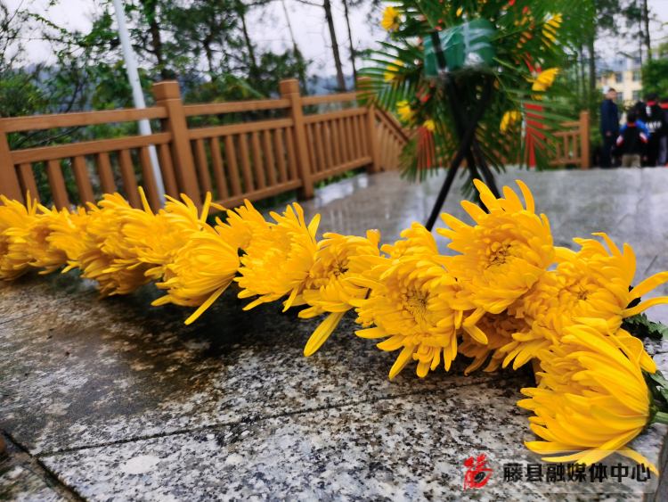 全县清明节纪念烈士陵园活动方案,清明节祭扫烈士墓园美篇