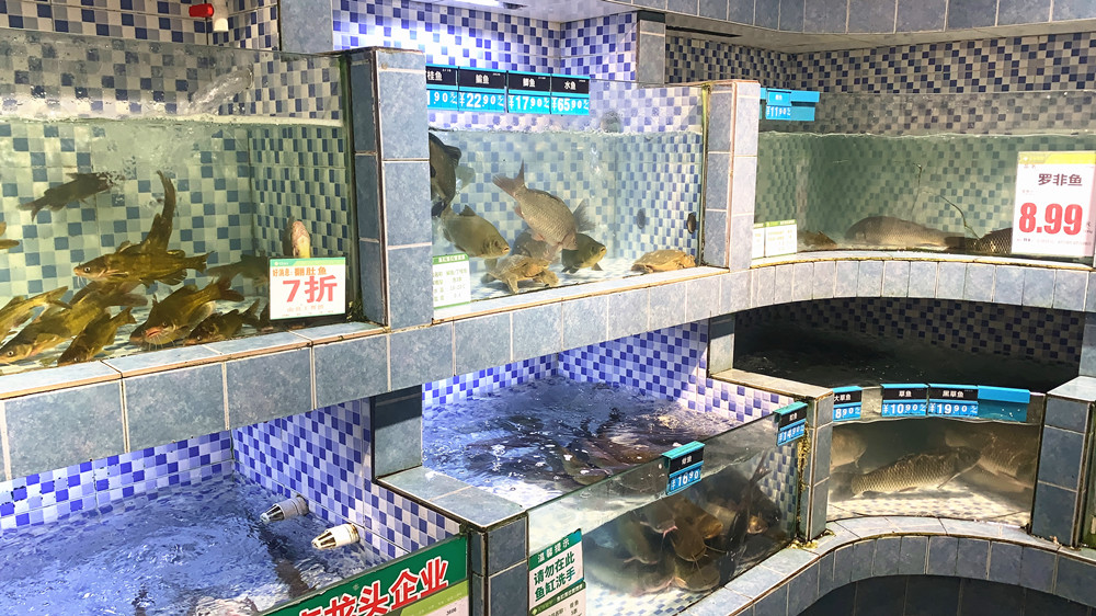 天热了这6道菜必吃,这5种鱼不建议食用