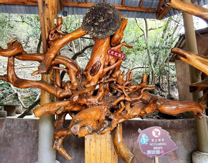 昆明青龙谷生态旅游,昆明市青龙峡风景区