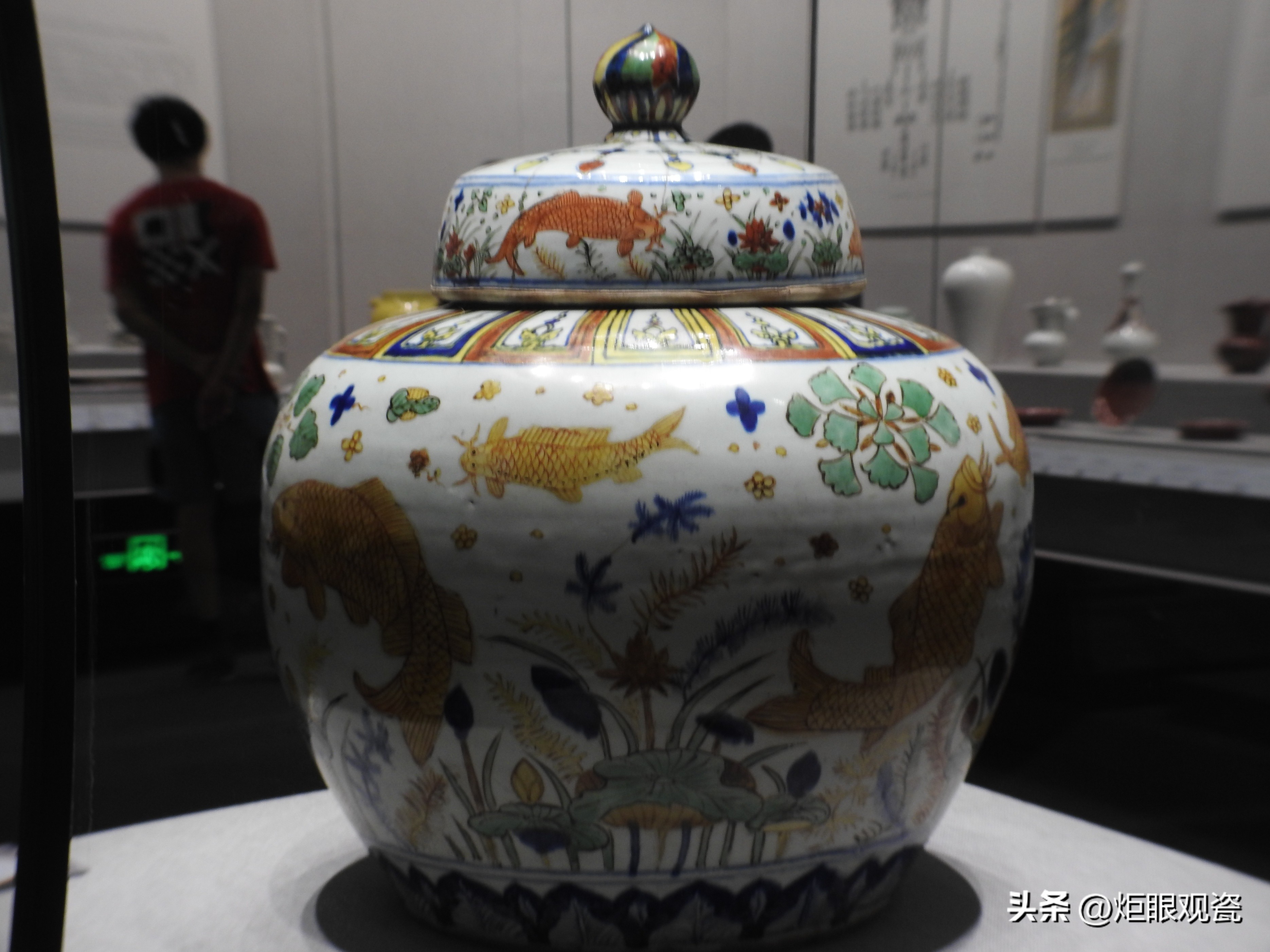 鱼乐其中——细观嘉靖五彩鱼藻纹罐的黄上红、翡翠绿、回石青