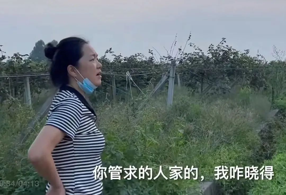 如何利用互联网+打造现代农业,现代化农业种植新模式