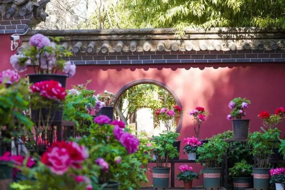 昆明清明节旅游攻略一日游路线,清明昆明周边有什么玩的