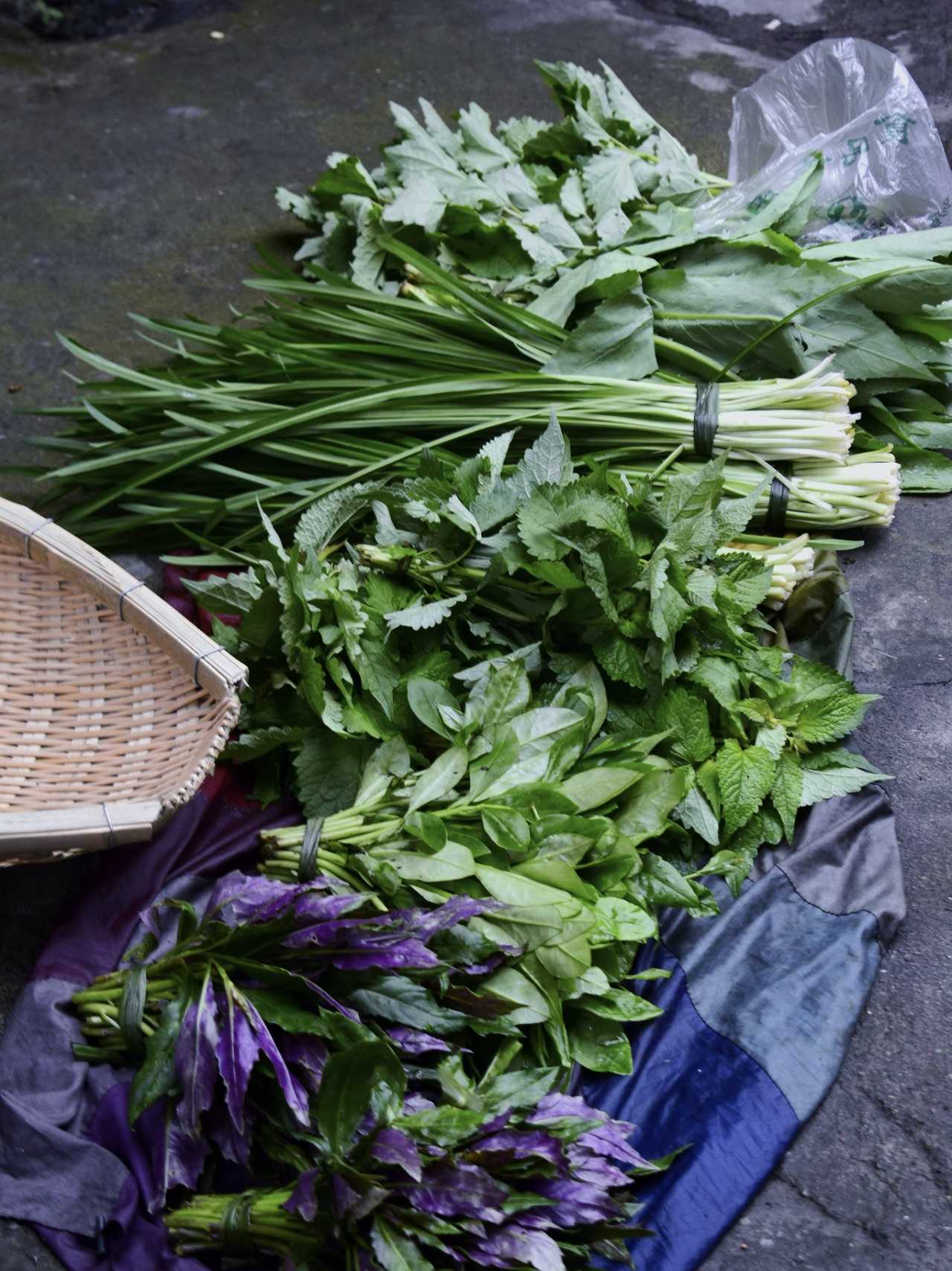 乐山异国风情打卡新去处,乐山游玩攻略及人文风情