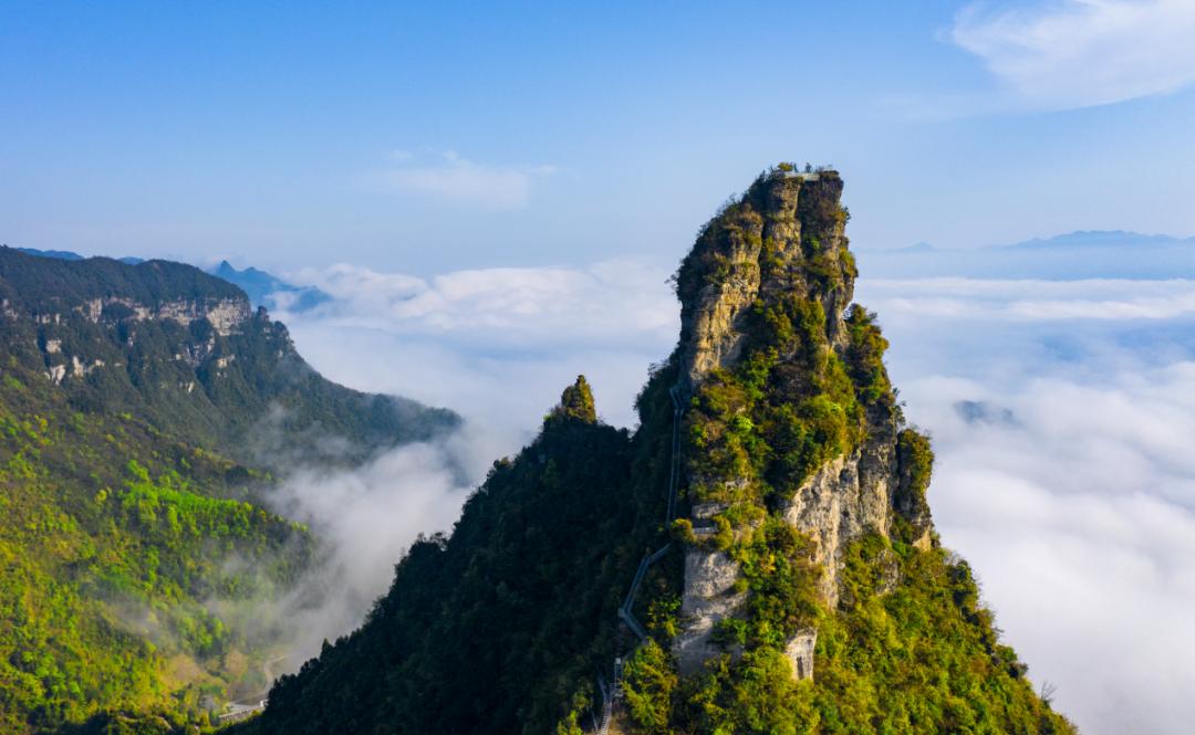 重庆周边凉快的避暑打卡地,重庆周围避暑地推荐