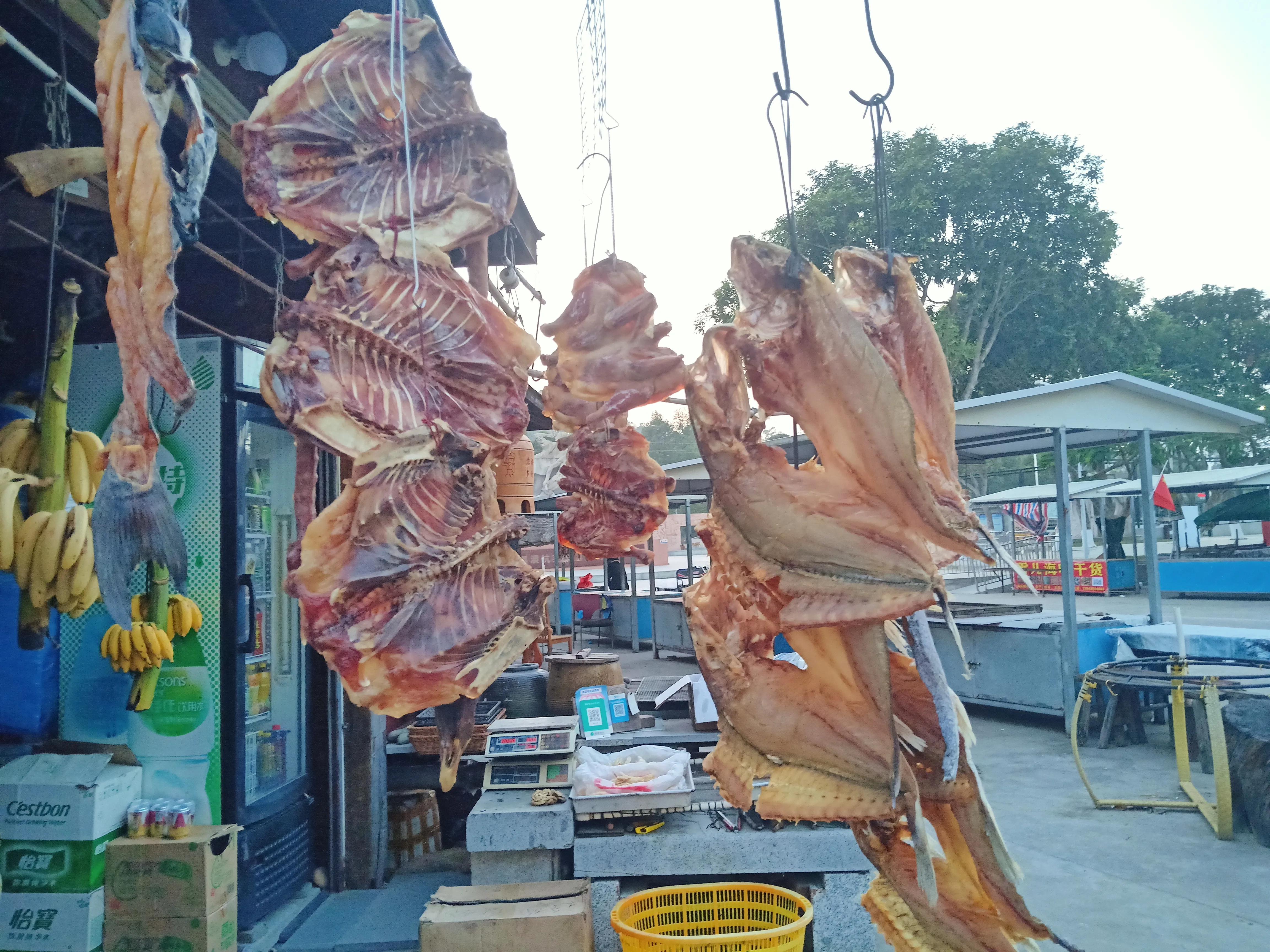 珠海圆明新园自驾游路线图最新,自驾游珠海淇澳岛最佳路线攻略