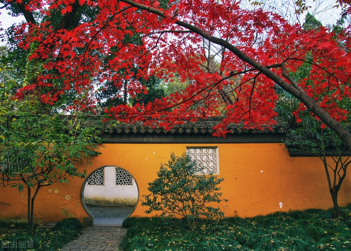 秋天的苏州必去的景点,苏州秋天小众景点推荐
