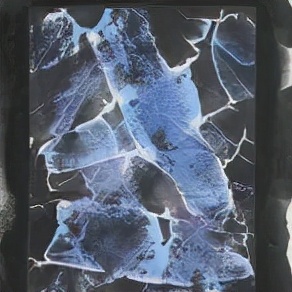 “FossilsDance－太古⽯的舞痕”