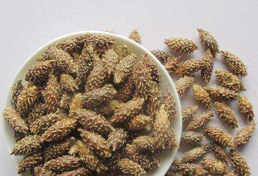 中医治疗鼻涕倒流,中医鼻涕倒流到咽喉