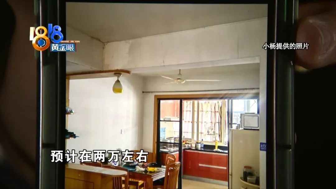 发生火灾小狗死亡,客厅着火原视频