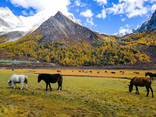 云端之上的机场,云端之上川西