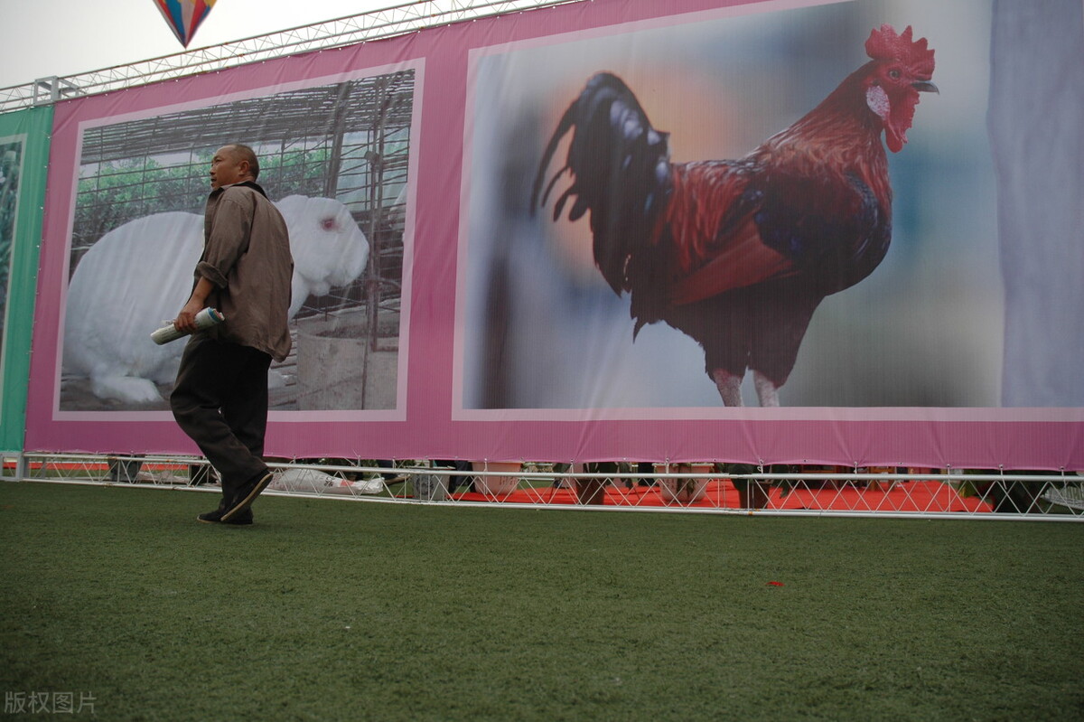 兽药盐酸多西环素的使用说明,50%兽药盐酸多西环素的作用与用量