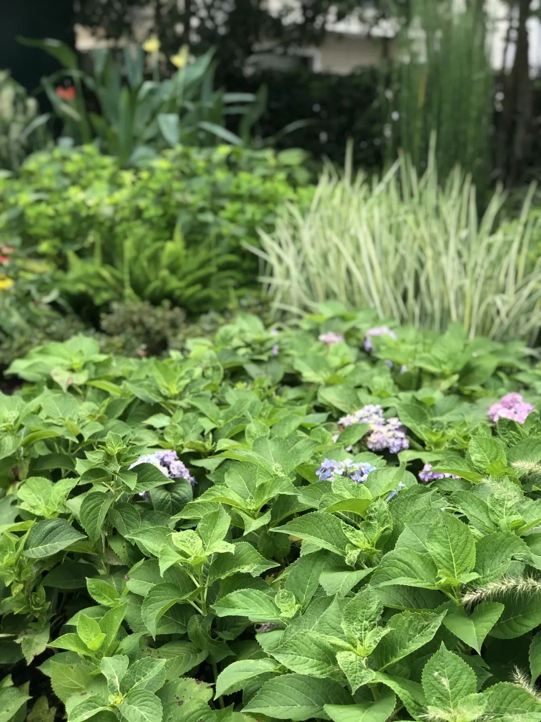 “乐”享漫时光：嵌在繁华商圈的“宝藏绿地”