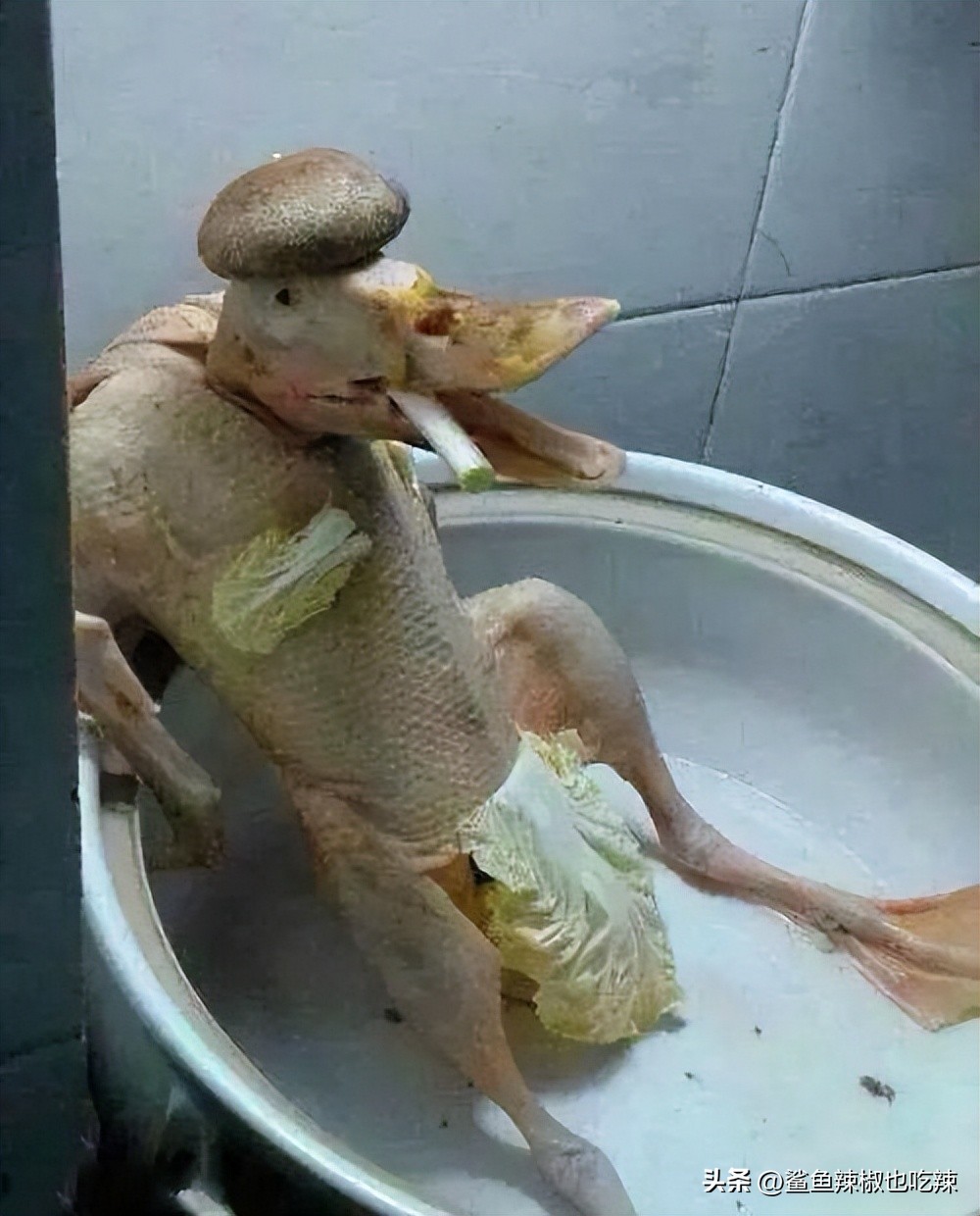 今天你看了吗,治好脚气以前的袜子还能穿吗