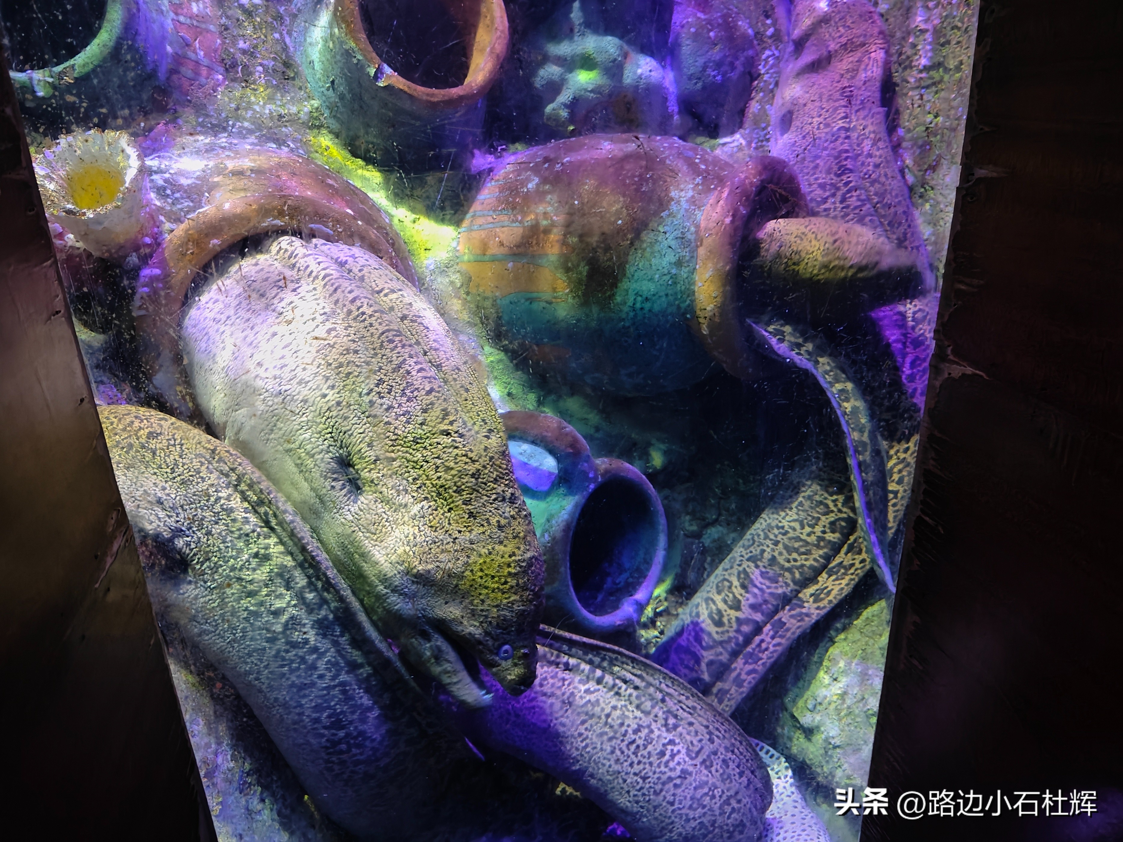 游逛人间,北京海洋馆旅游攻略