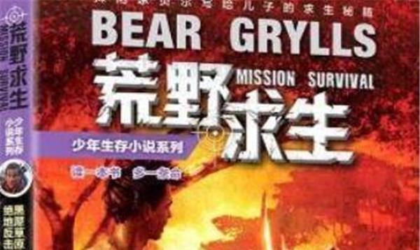 6-12岁孩子励志绘本,12到14岁励志书籍夏季风