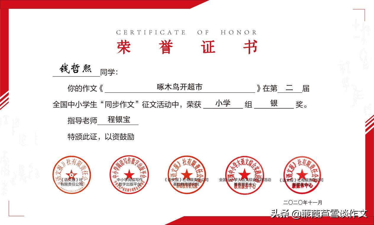 阿宝老师作文,获奖的小学作文300字