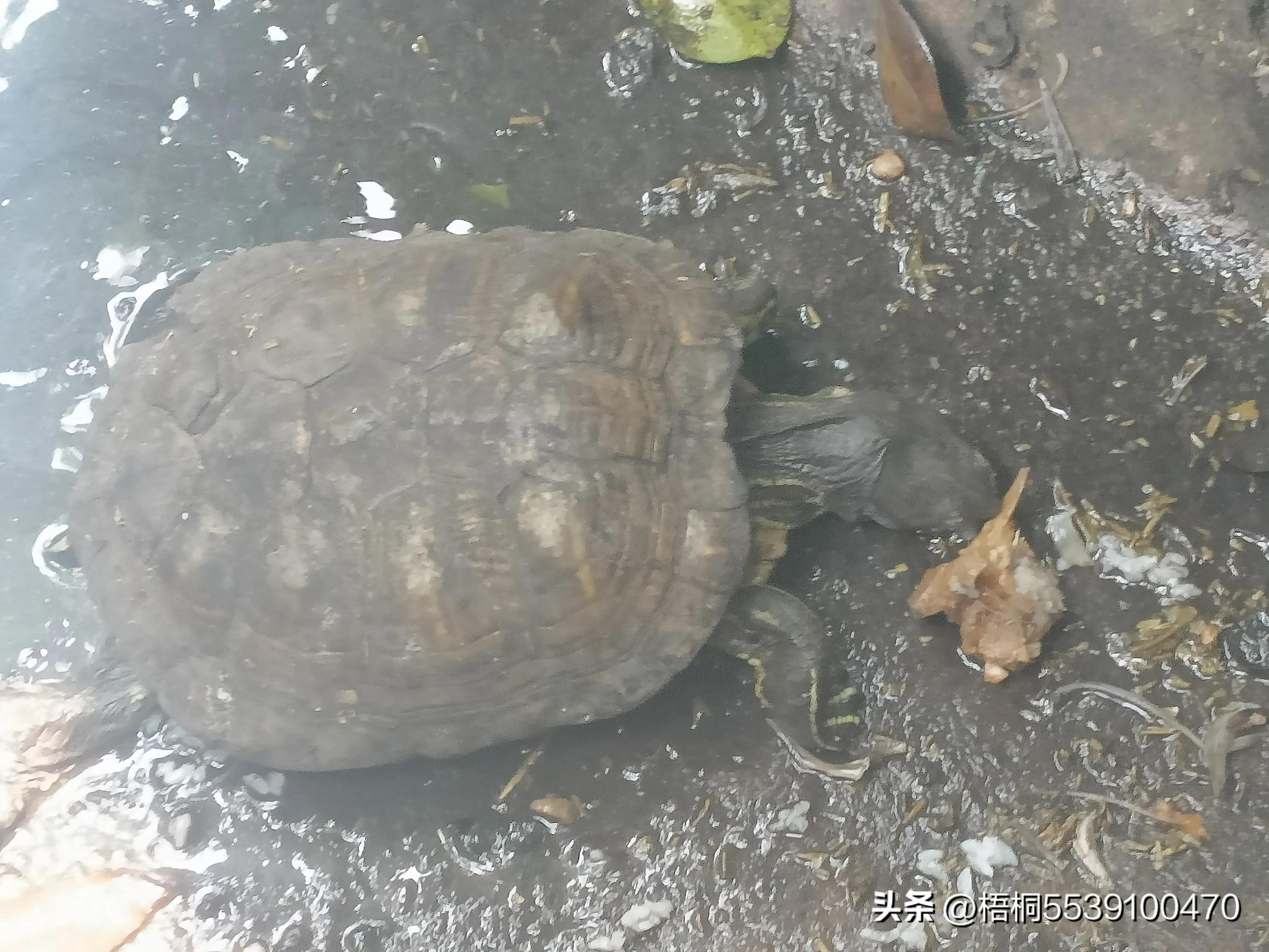 苏州洞庭西山有什么好玩的,苏州太湖东山还是西山好玩