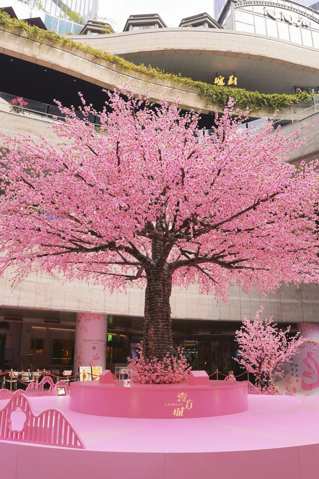 深圳人喜欢逛山姆店,深圳人喜欢逛步行街吗