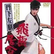 有什么好看的武士电影推荐,有哪些关于武士的电影