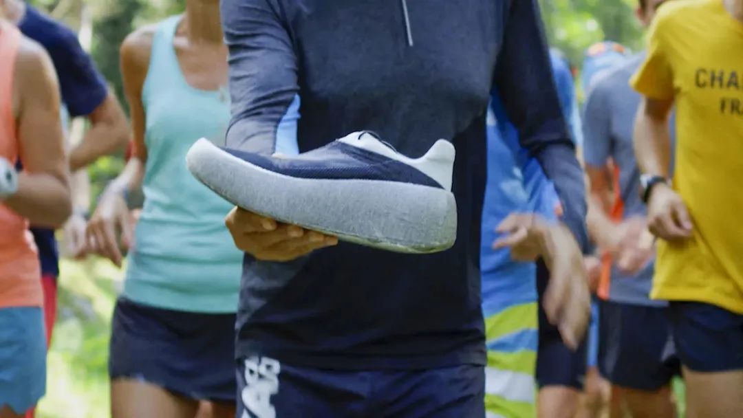 从阿尔卑斯山脉滑雪下来,从阿尔卑斯山飞下去