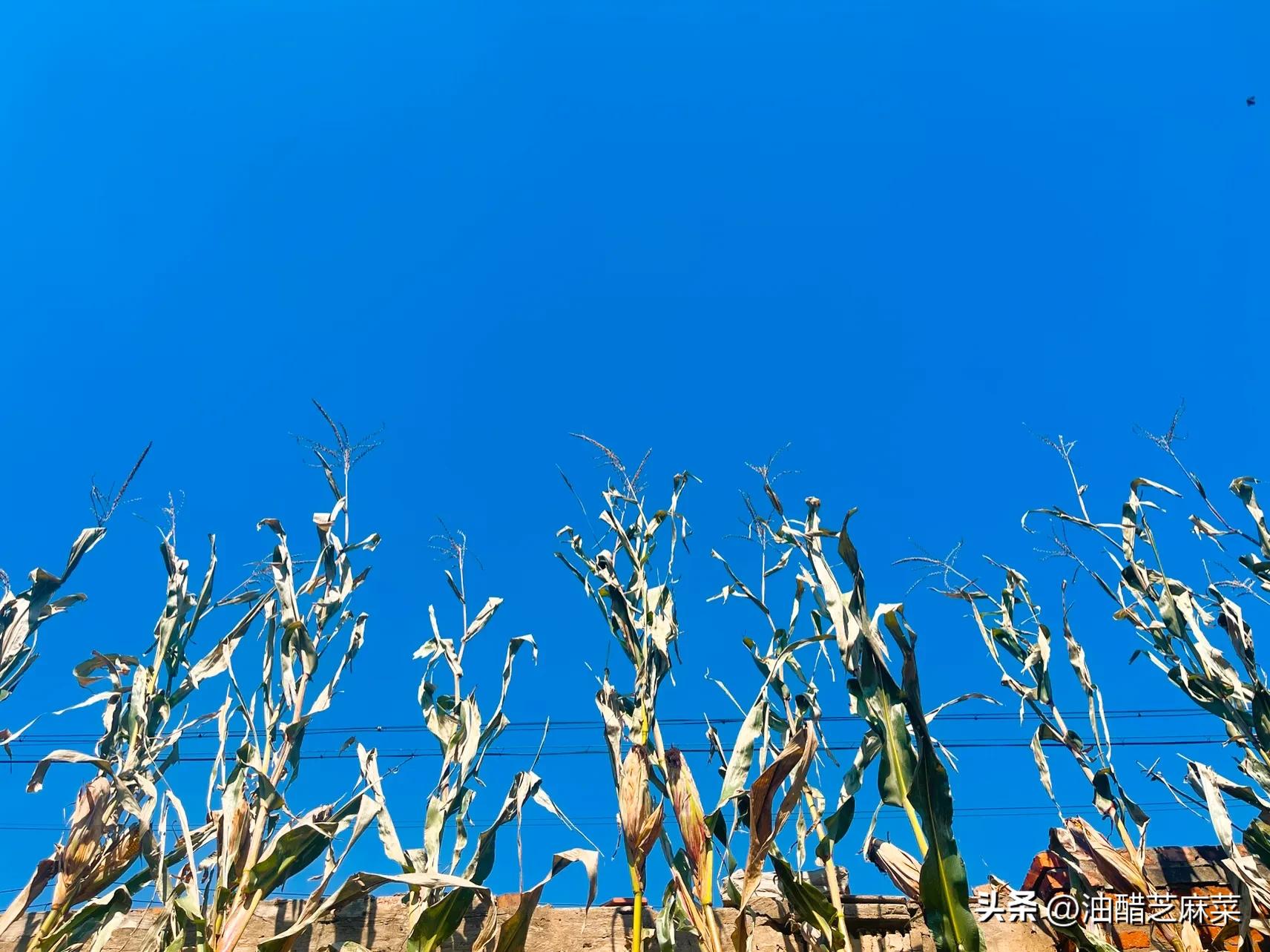 别怕脏了手,别怕弄脏衣服