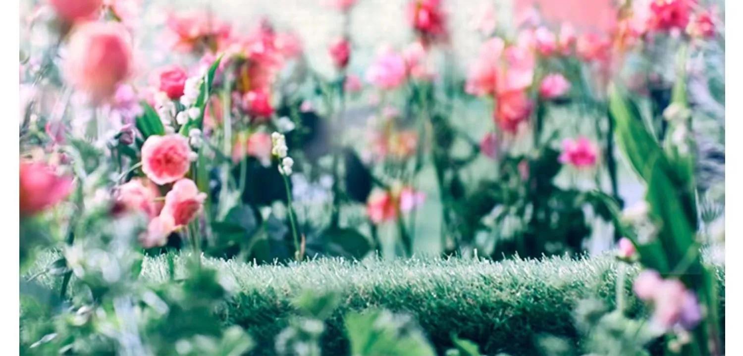 好用的洗衣液花王,有和花王一样香的洗衣液吗