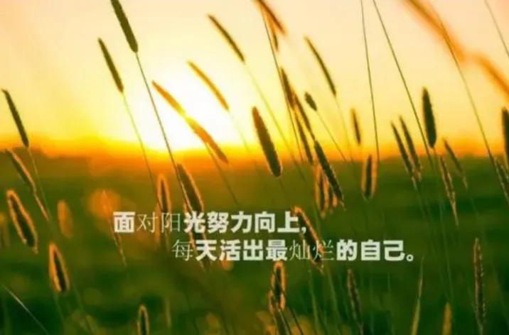 车到山前必有路何必庸人自扰之,世间本无事庸人自扰之简单过生活