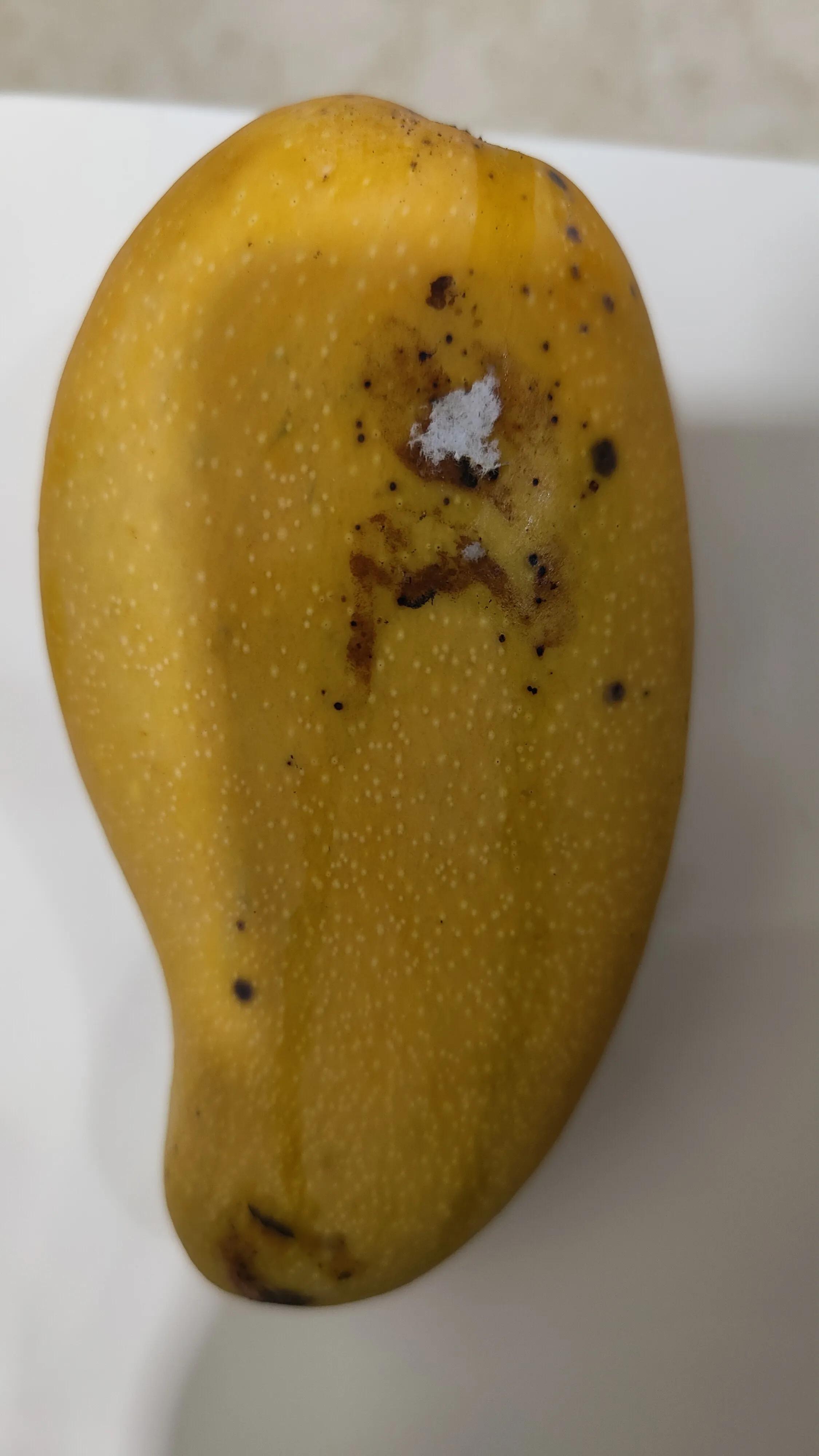 直播间秒杀的商品质量怎么样,直播超低价卖东西内幕