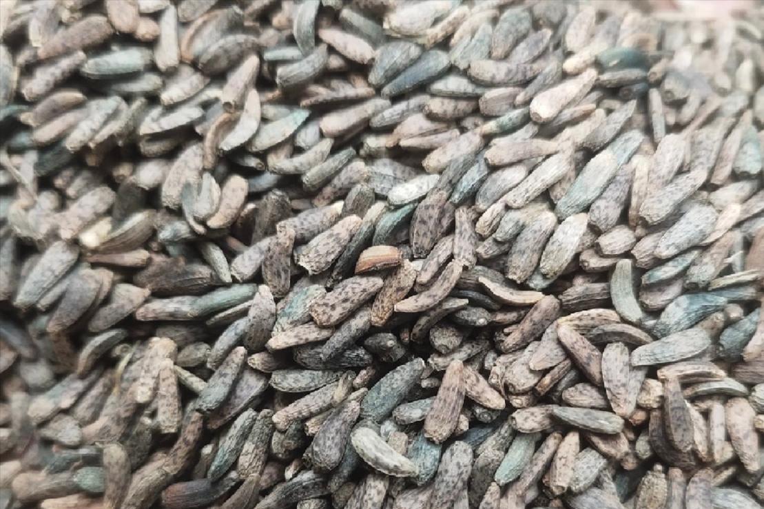 牛蒡出口日本需求量,日本的牛蒡