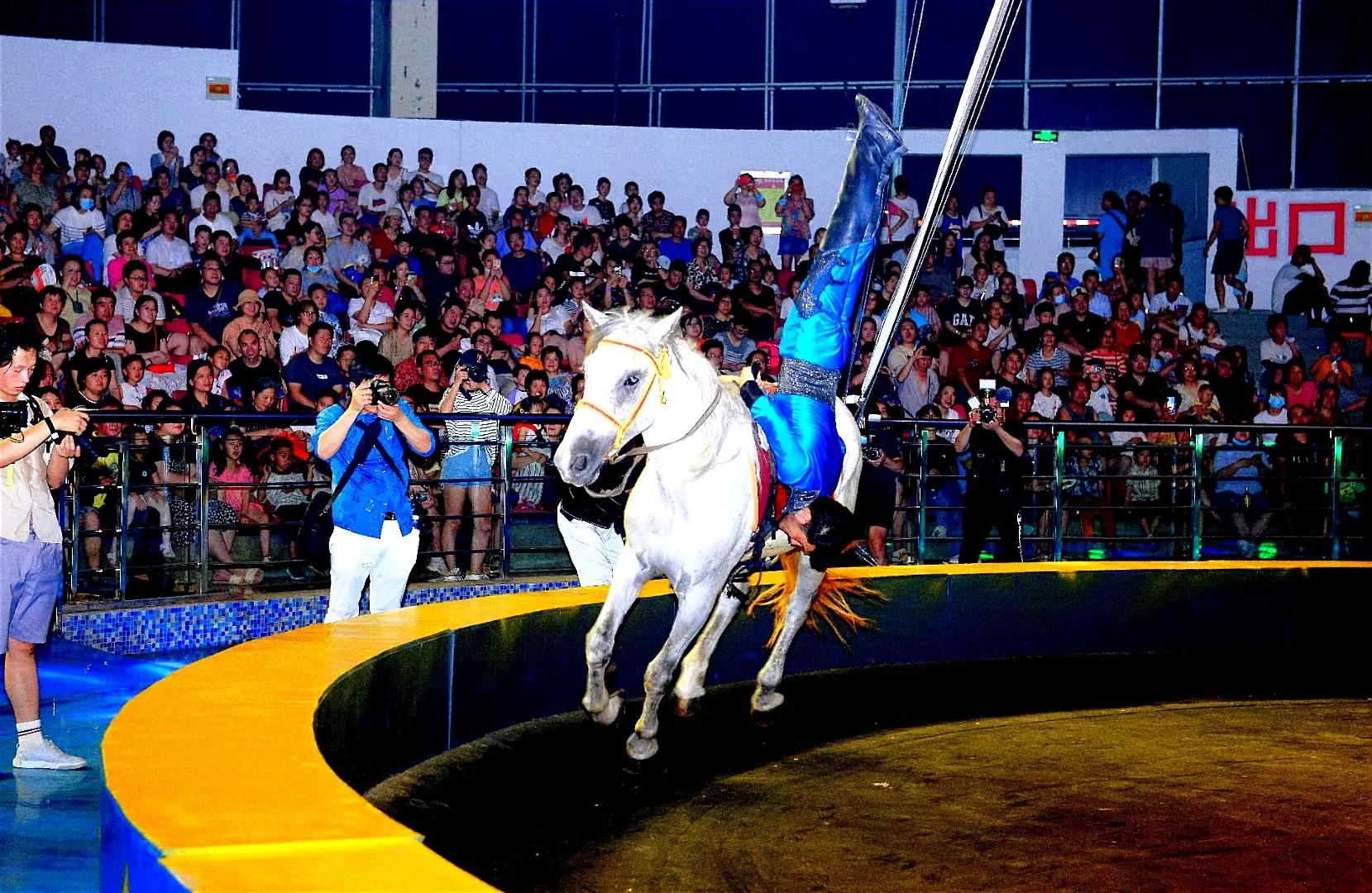 无锡动物园夜公园游玩攻略,无锡动物园攻略