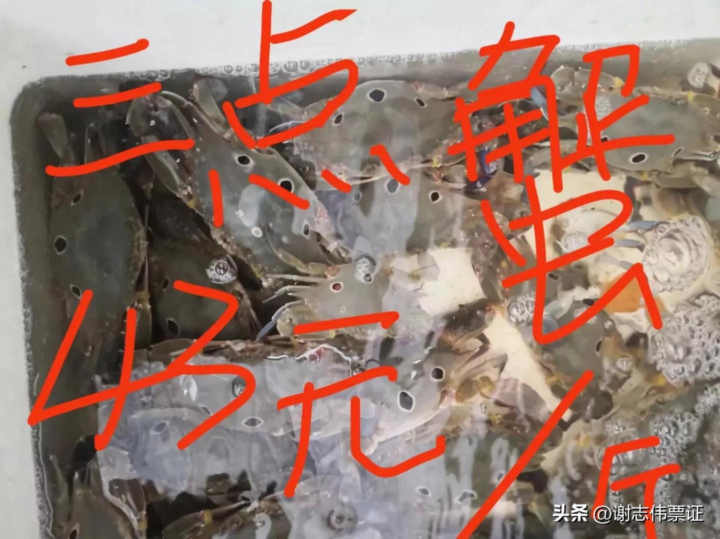 海南风情（015）上埇村海鱼价目知多少