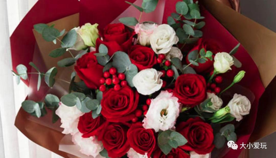 北京最美的花鸟市场,北京值得逛的花鸟市场