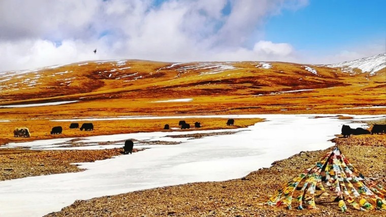 手机摄影作品欣赏夏荷之韵,夏荷摄影效果怎么样