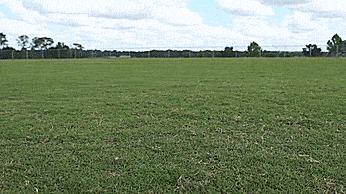 初学者必备十大技能有哪些,初学者必学的10个基础知识