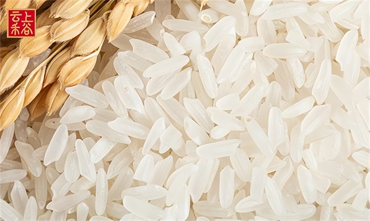 怎么鉴别真假稻花香,如何辨别稻花香