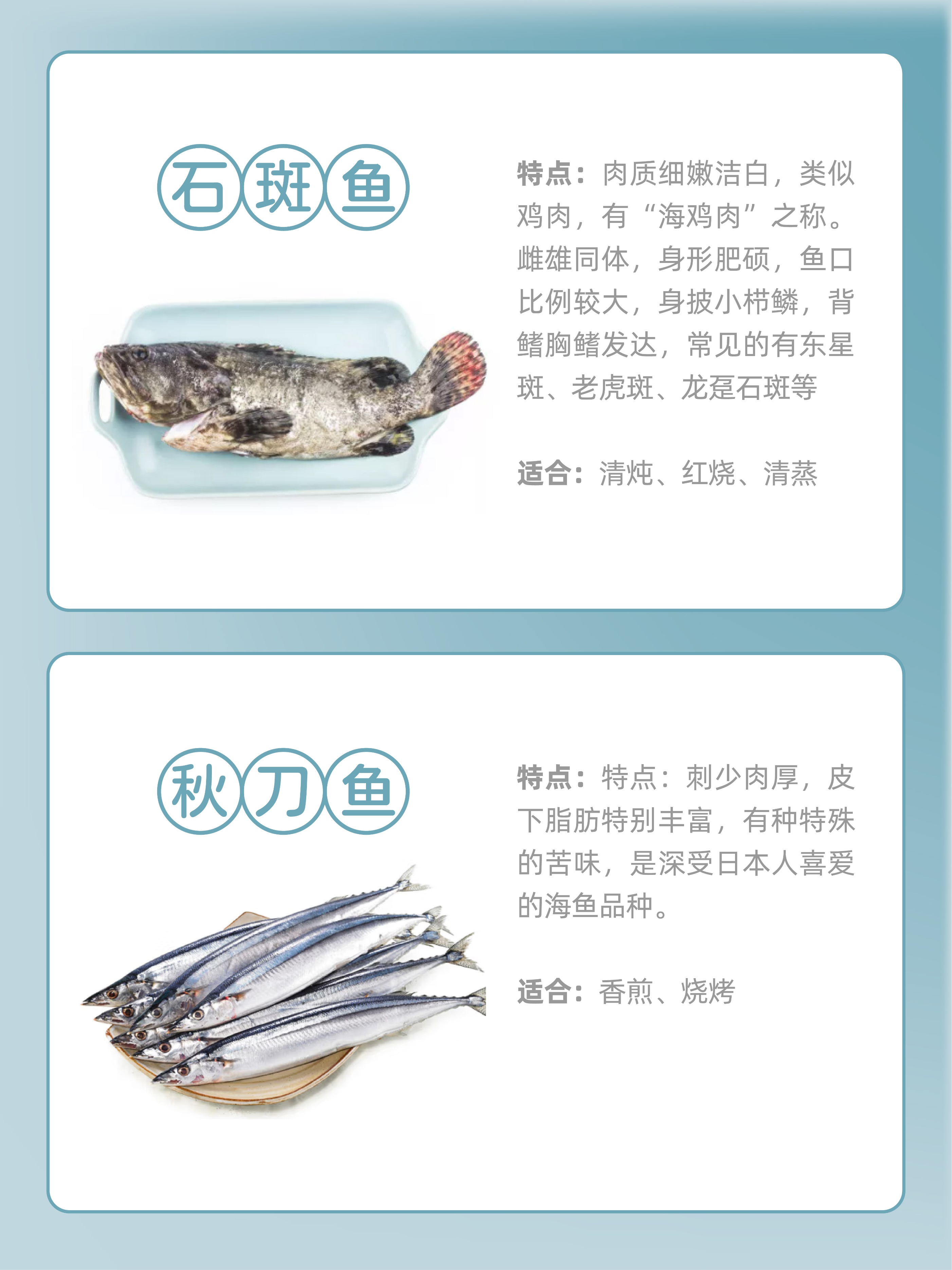 连云港常见海鱼种类,厦门常见海鱼种类