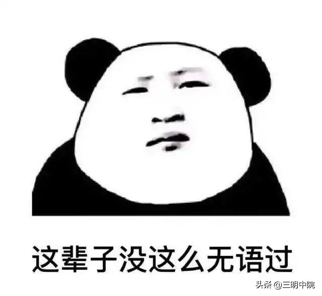 花金渐层的钱买了橘猫,花一万买金渐层