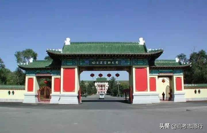 哈医大2020录取线临床医学,哈医大录取分数线2020年