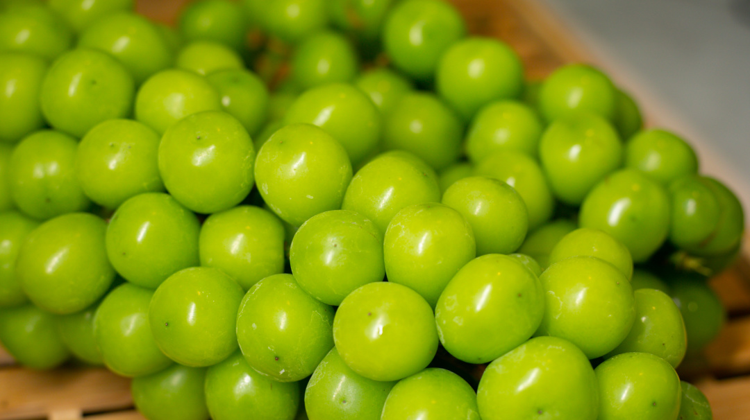 银河温泉双人水果温泉,泡汤泉免费吃水果