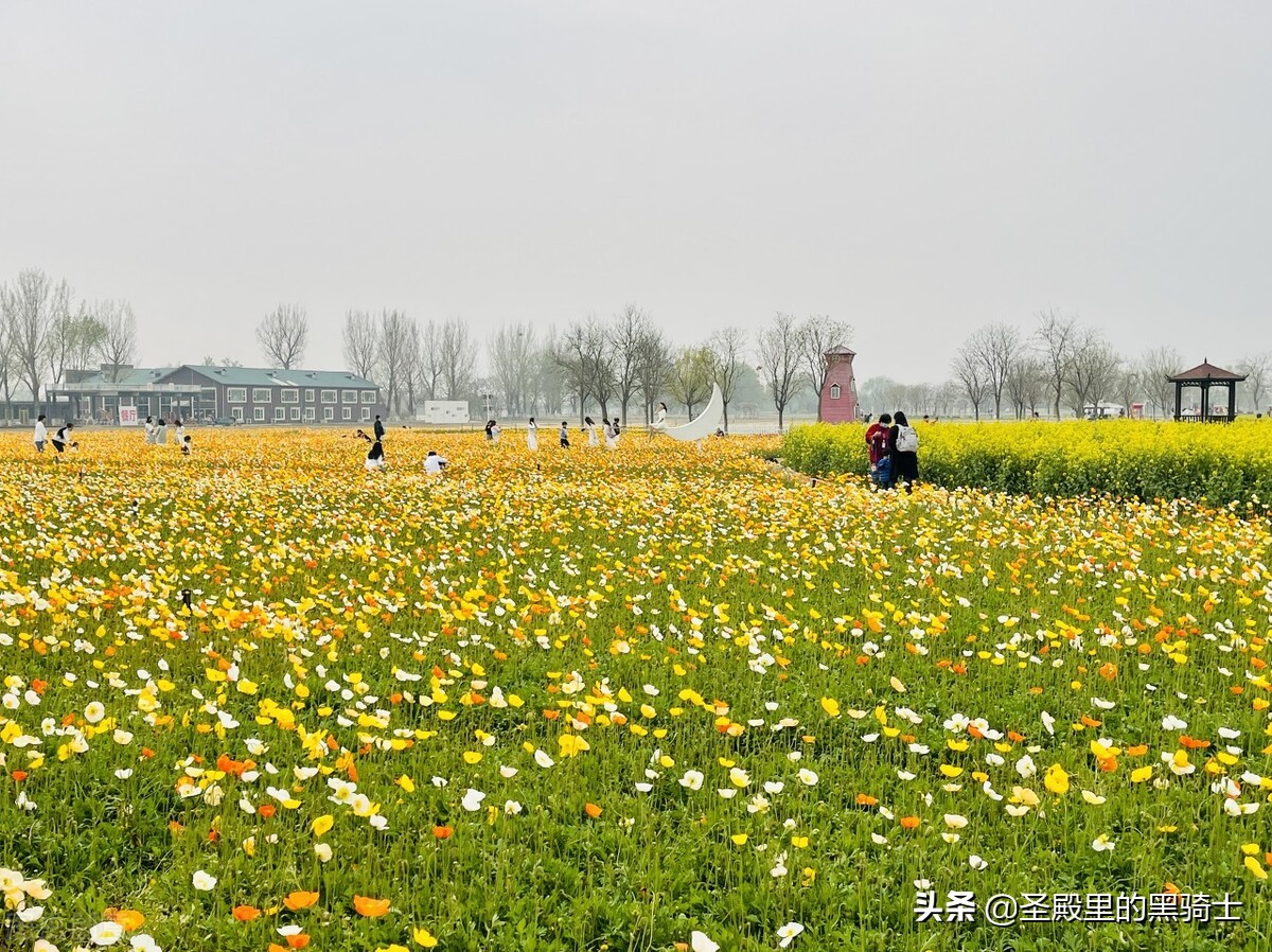 ps职场实用技能天天学,上班必要的ps技巧