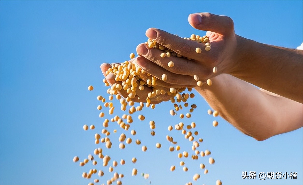 大豆到港分销价格,大豆到港量对豆油和豆粕的影响